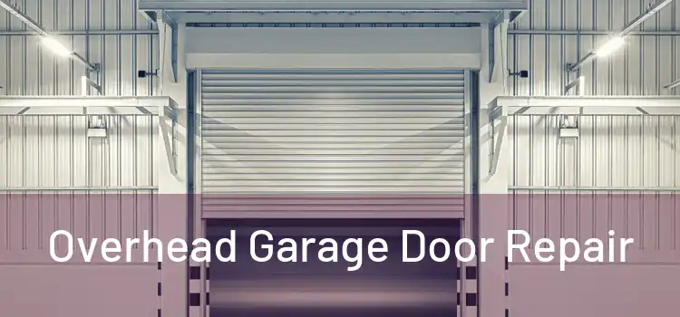  Overhead Garage Door Repair 